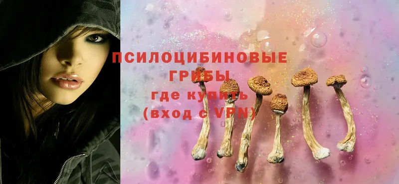 OMG ссылка  Новокузнецк  Псилоцибиновые грибы MAGIC MUSHROOMS 